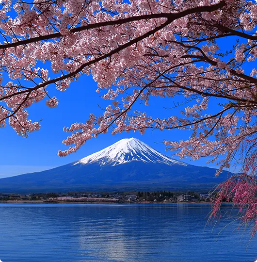 Ascension du mont Fuji : symbole sacré du Japon