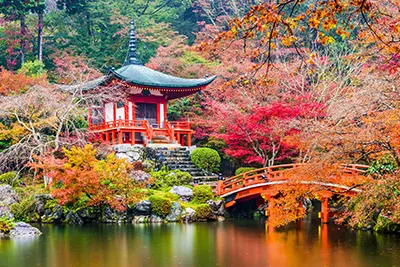 Kyoto, tresors et ame culturelle